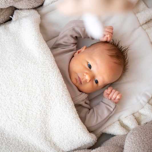 Babyschlafsack Dreamy Teddy Bouclé - kuscheliger Ganzjahreschlafsack