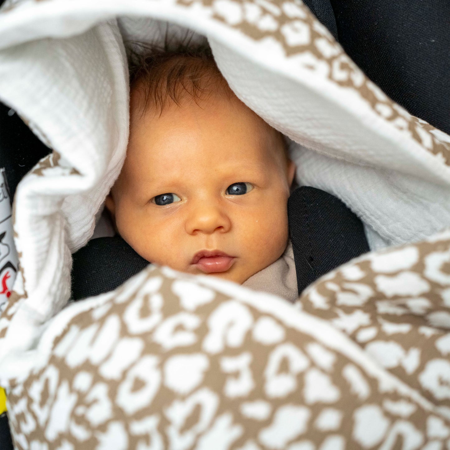 Einschlagdecke Musselin Leopard – Perfekt für Autoschale Ganzjährig